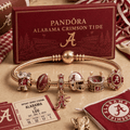 ACT Pink Gold Charm Bracelet Set PNPA